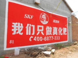 仙居刷墙广告”蕴含了时代命题