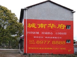 仙居百分之90的人都不了解的农村墙体广告