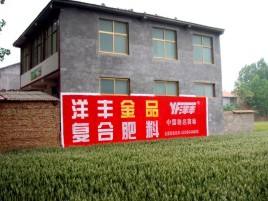 仙居如何让墙体广告展现最大化效果