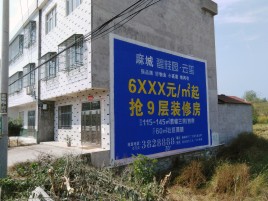 仙居墙体广告质量分析