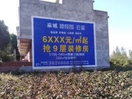 仙居品牌公司青睐的墙体广告
