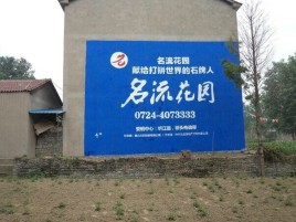 仙居农村墙体广告的长尾效应