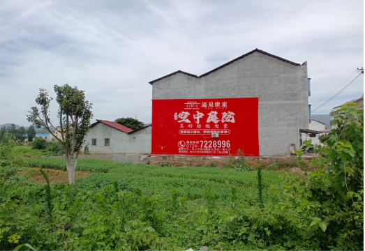 仙居做墙体广告的意义