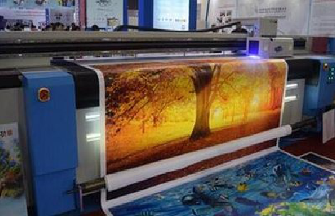 仙居写真有哪些介质?