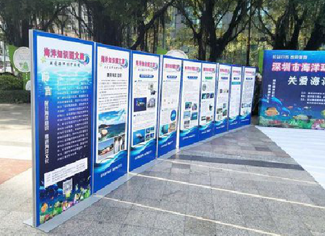 仙居KT板的种类和知识。